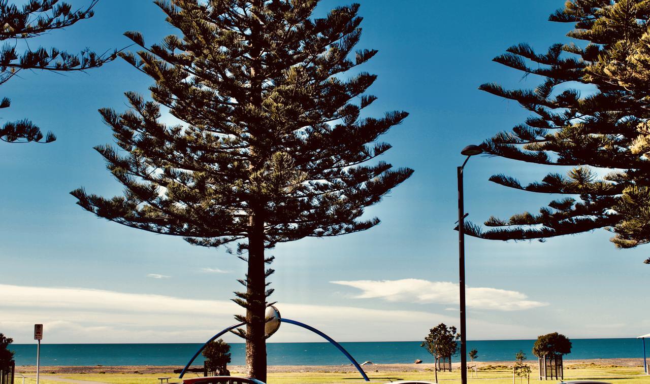 ホテル ザ ノーチラス ネーピア エクステリア 写真 View of the beach from the foreshore
