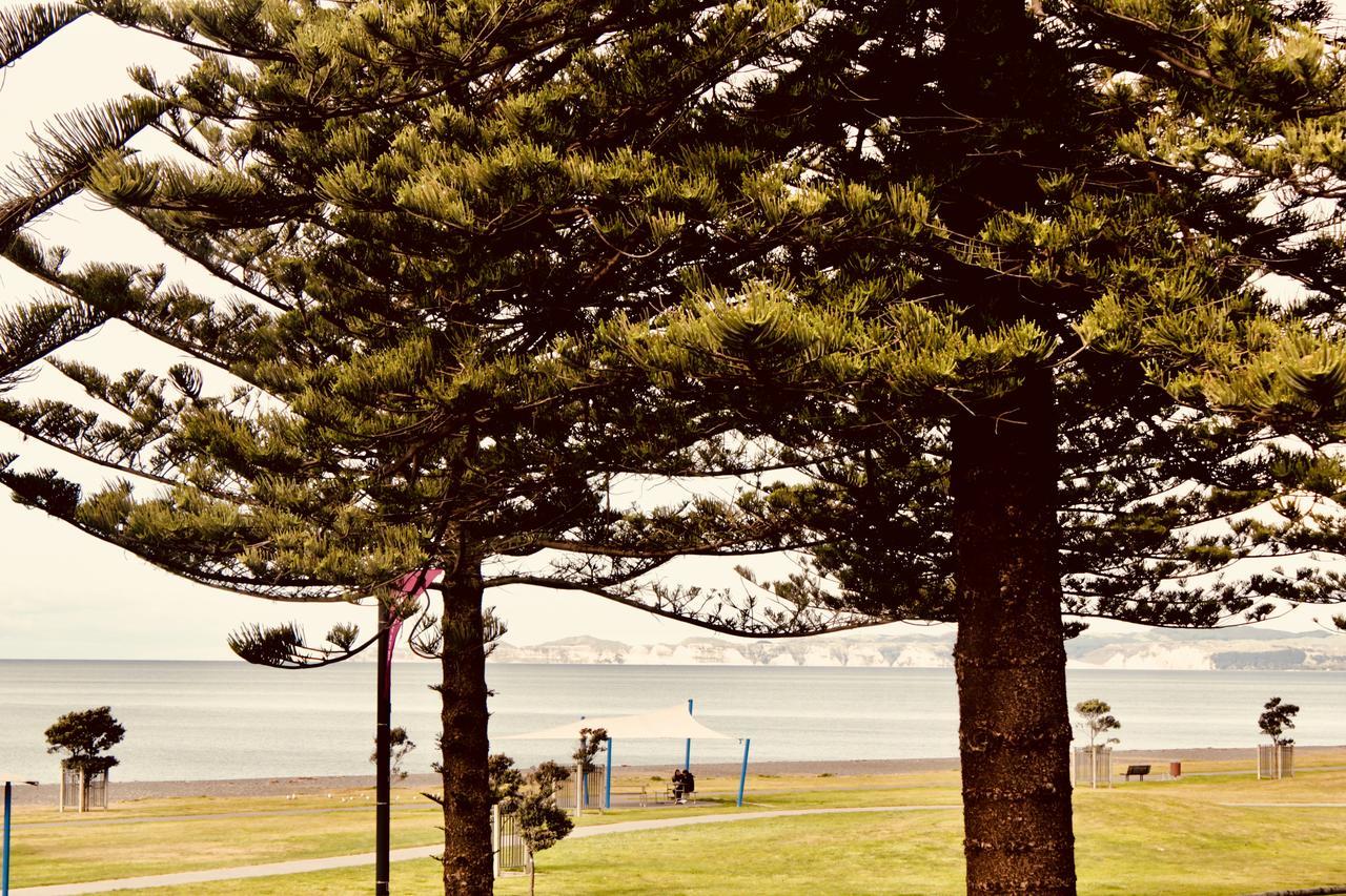 ホテル ザ ノーチラス ネーピア エクステリア 写真 View of the bay from the foreshore