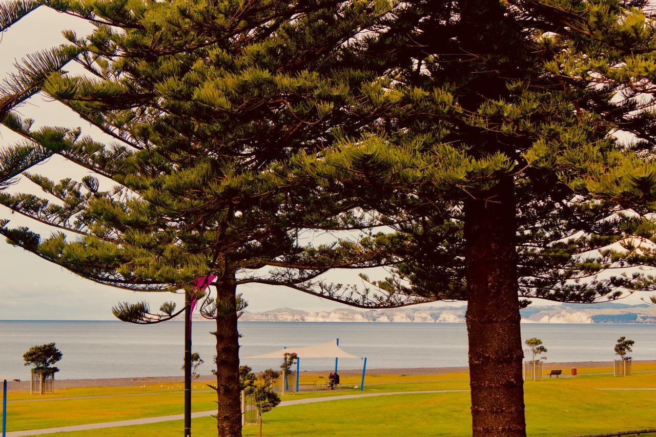 ホテル ザ ノーチラス ネーピア エクステリア 写真 View of the bay from the foreshore